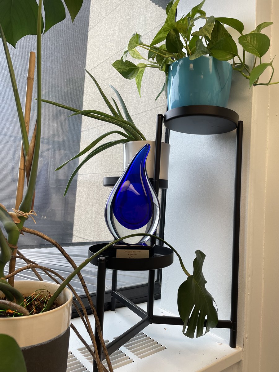 Incredibly honoured to have been awarded the Michelle Harkness Mentorship Award from Michelle's family and @AllerGen_Inc this past weekend. The award has pride of place in my office where I can be reminded of the impact of good mentorship daily.
