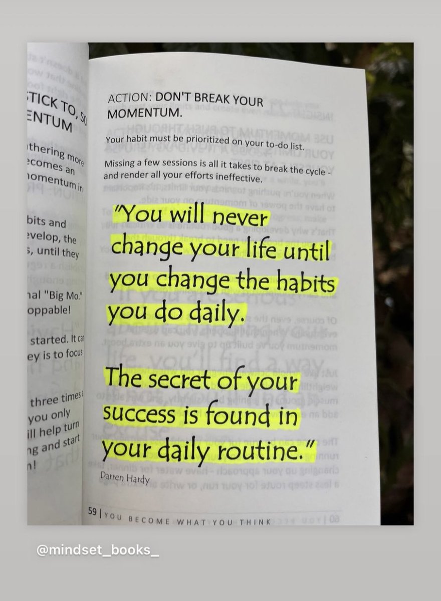 Build Holistic Nutrition tweet media