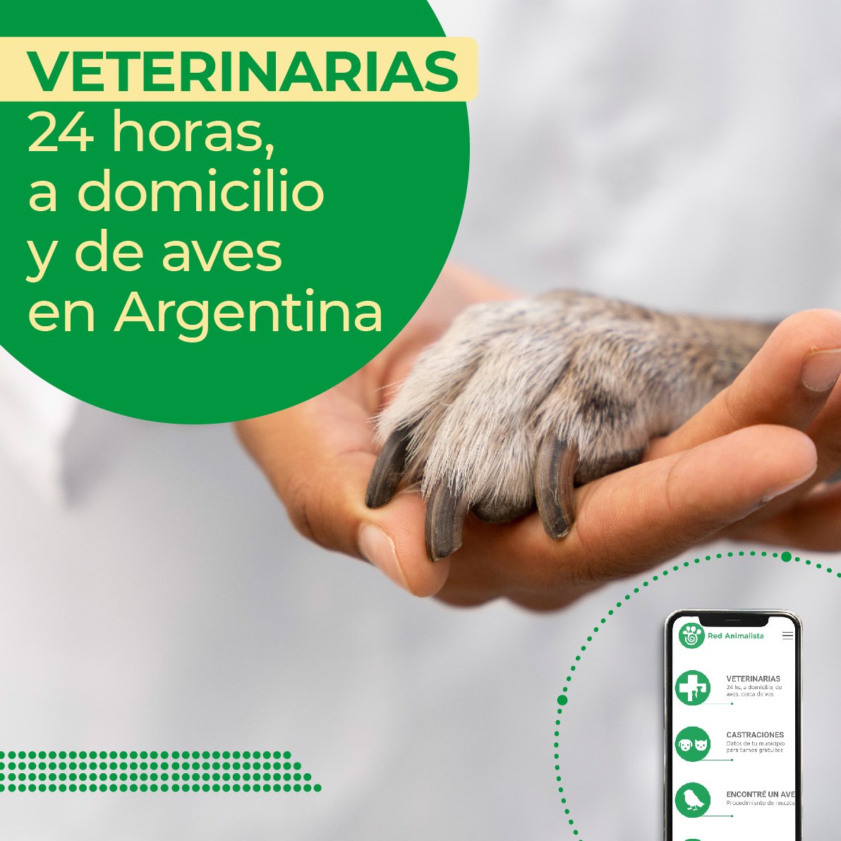 RedAnimalistaAR's tweet photo. Encontrá las veterinarias 24 horas, a domicilio y de especialistas
en aves 🐱🐶🐦

Descargá la app:
👉 https://t.co/vZeFvVjues
Visitá la web:
👉 https://t.co/FqaY8k0ZpL

#veterinarias #veterinaria24horas #urgenciasveterinarias 
#veterinariaadomicilio #veterinariadeaves #Argentina https://t.co/SFD2vShLgZ