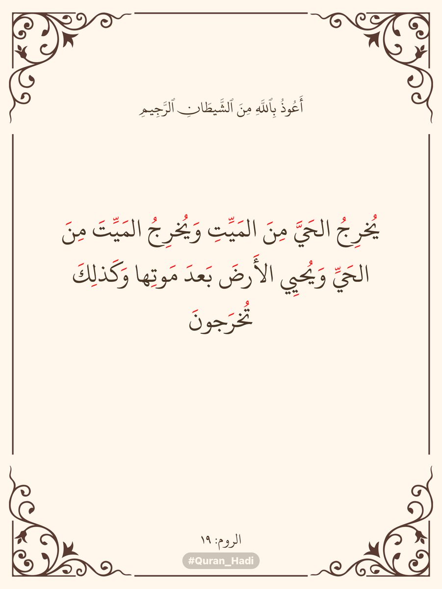 غريب الدار (@amjad_qassim) on Twitter photo 