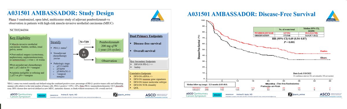 Brief summary of the AMBASSADOR study bpno.dk/medtalks/resul… @OncoAlert @OncBrothers @bergsa83 @morr316 @PGrivasMDPhD @BradMcG04 @ALLIANCE_org @NCIResearchCtr @sonpavde @WilliamKimMD @BladderCancerUS @BladderCancerUK @BladderCancerCA @MTeoMD @bilenma @RandySweisMD @MattGalsky