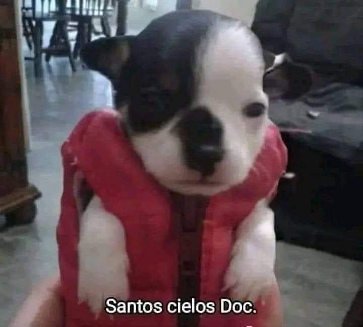 Isra🇲🇽 tweet media