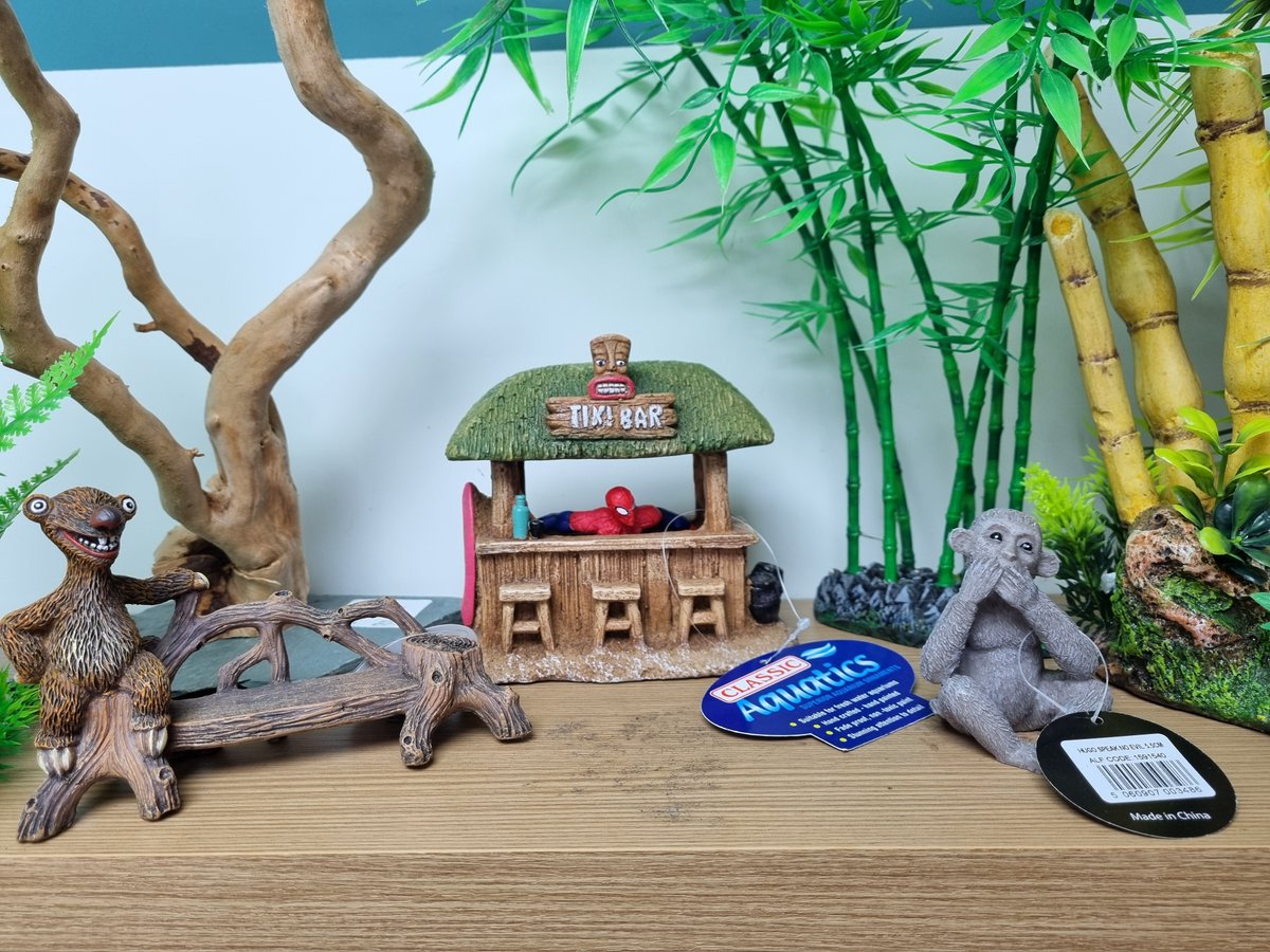 Is dry January over yet spiderman?

Our team always have a bit of fun when we get new aquarium decorations in!