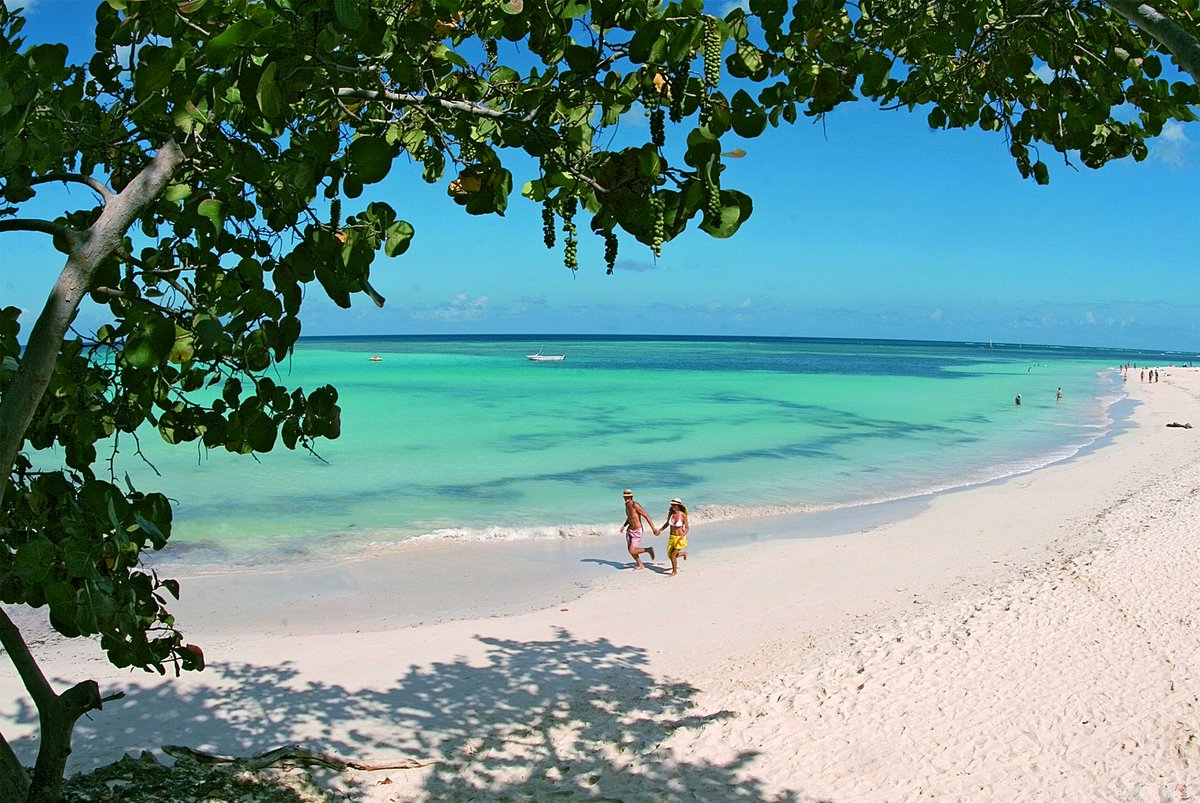 MinturCuba's tweet photo. 🌴🏝#Cuba  seleccionada por Tripadvisor como el Segundo Destino Más Popular del Caribe.  🏰⛱🌞😎. #CubaUnica  👉 https://t.co/LsLNPxCXKI https://t.co/3bMwYsBqIh