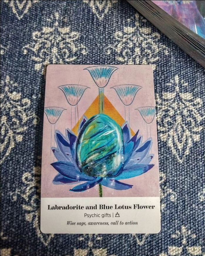 evergreencosmos's tweet photo. A reading for the collective:

Wisdom is trying to reach the surface, lighting the way. You are being called to service. Your words, actions, and thoughts are needed. It is time to act. Do not be afraid for you are being protected.

Try meditation and pay attention to your dreams https://t.co/o8oNfSlcfA