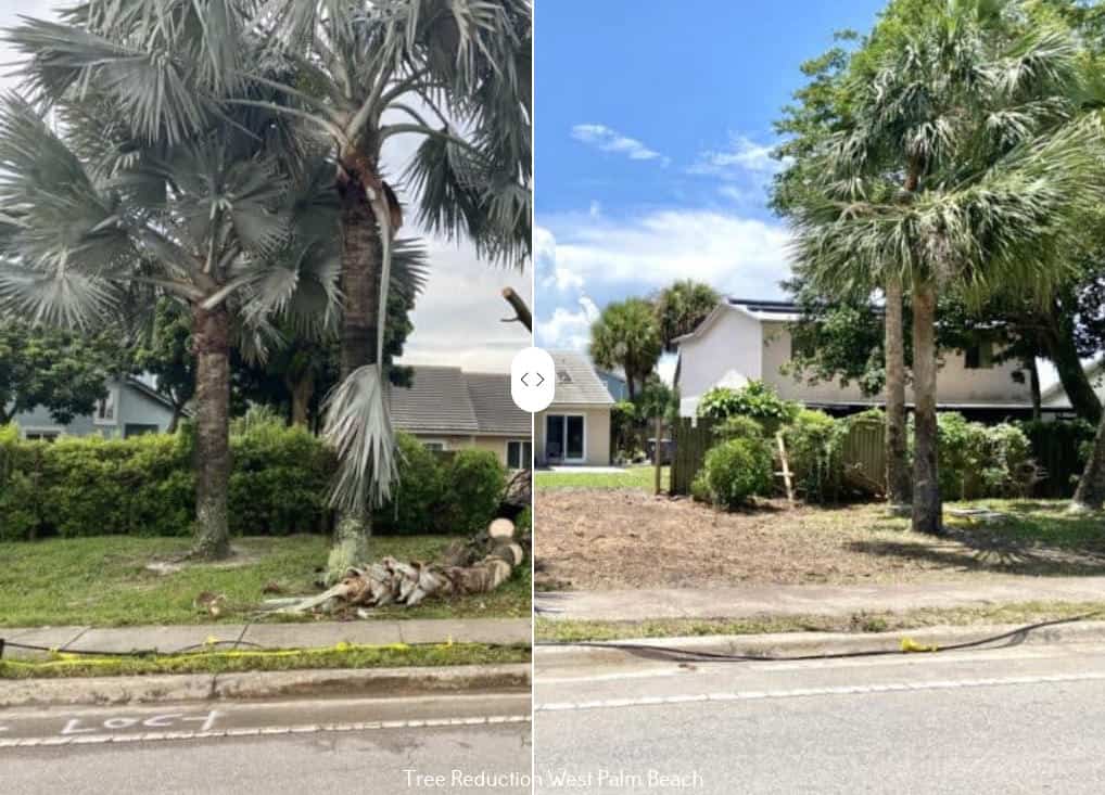 treetrimmerllc's tweet image. 🌳✨ Transform Your Yard into a Tree Haven with Professional Tree Trimmers! ✨🌳

Hello, tree lovers! 🌲 If you dream of a yard that&apos;s a haven for greenery, our team at Professional Tree Trimmers is here to make it a reality. 🍃💚 #TreeHaven #OutdoorParadise #ProfessionalTreeCare