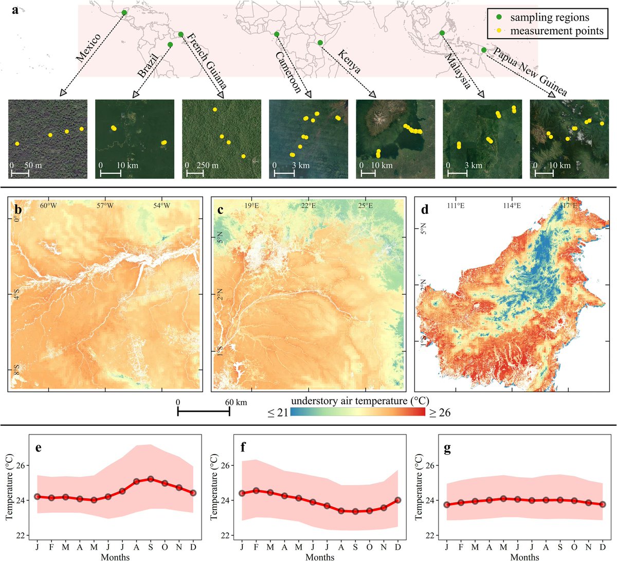 NatureComms's tweet image. A study from Ismaeel et al. reveals the spatial and temporal patterns of #temperature inside #TropicalForests, providing insights into their #microclimate that controls the functioning of living organisms under the forest canopy.
nature.com/articles/s4146…