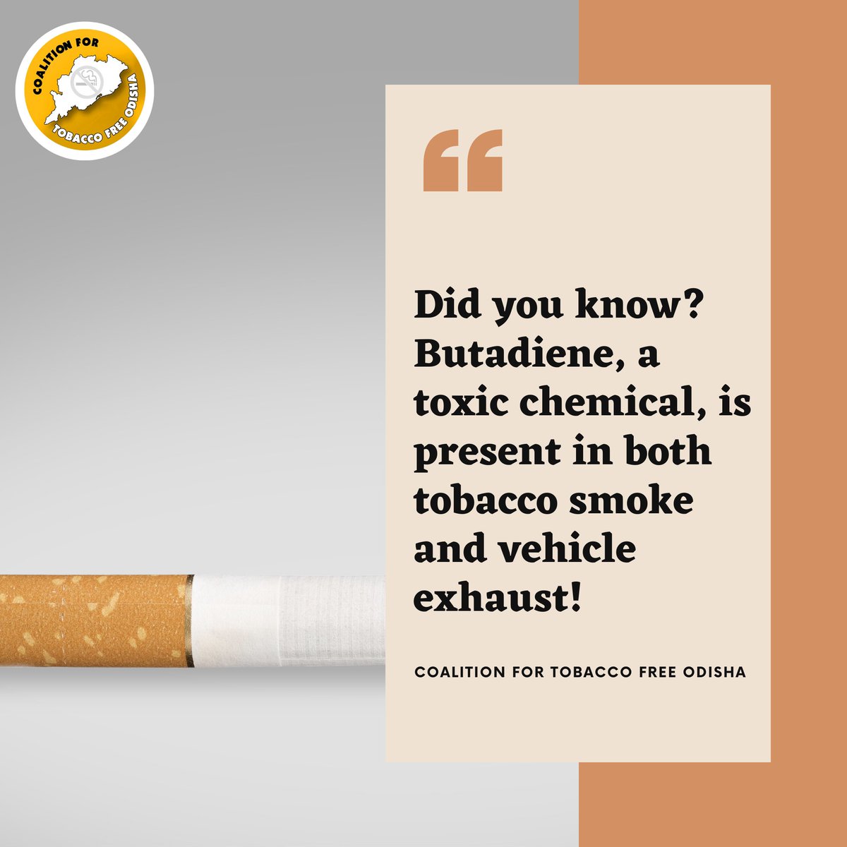 We appeal the govt to ban smoking in all public places with no special exclusion.

 #HealthAwareness #KnowTheFacts #TobaccoHazards #tobaccofree #TobaccoFreeIndia #chooselife #BreatheFree #smokefreefuture #SaveYouth #QuitTobacco #quitsmoking #stoptobaccouse #niranjanpujari