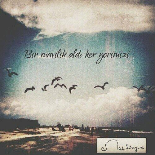 Bugün varız, yarın yokuz, ederimiz bir avuç anı..
.
Tarryn Fisher...