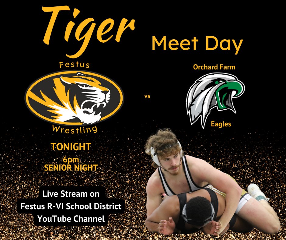 It's the Tigers' last home wresting meet of the year and it's Senior Night against Orchard Farm.  The meet begins at 6pm in the Ralph B. Tynes Gymnasium.  It will live stream on the Festus R-VI School District YouTube channel.
#WeAreFestus