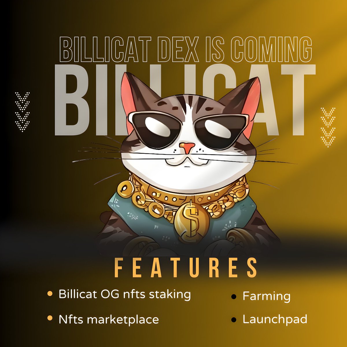 Being following @Billicatcoin closely, community is active  ✅
Dev is Base ✅

#BilliCat Dex is now live with #BCAT staking , liquidity and farming pool. Link dropping soon

They are currently listed on Pancakeswap, Indoex , TOOBIT and Citex EXCHANGE. 

Adding more bags.
#BCAT