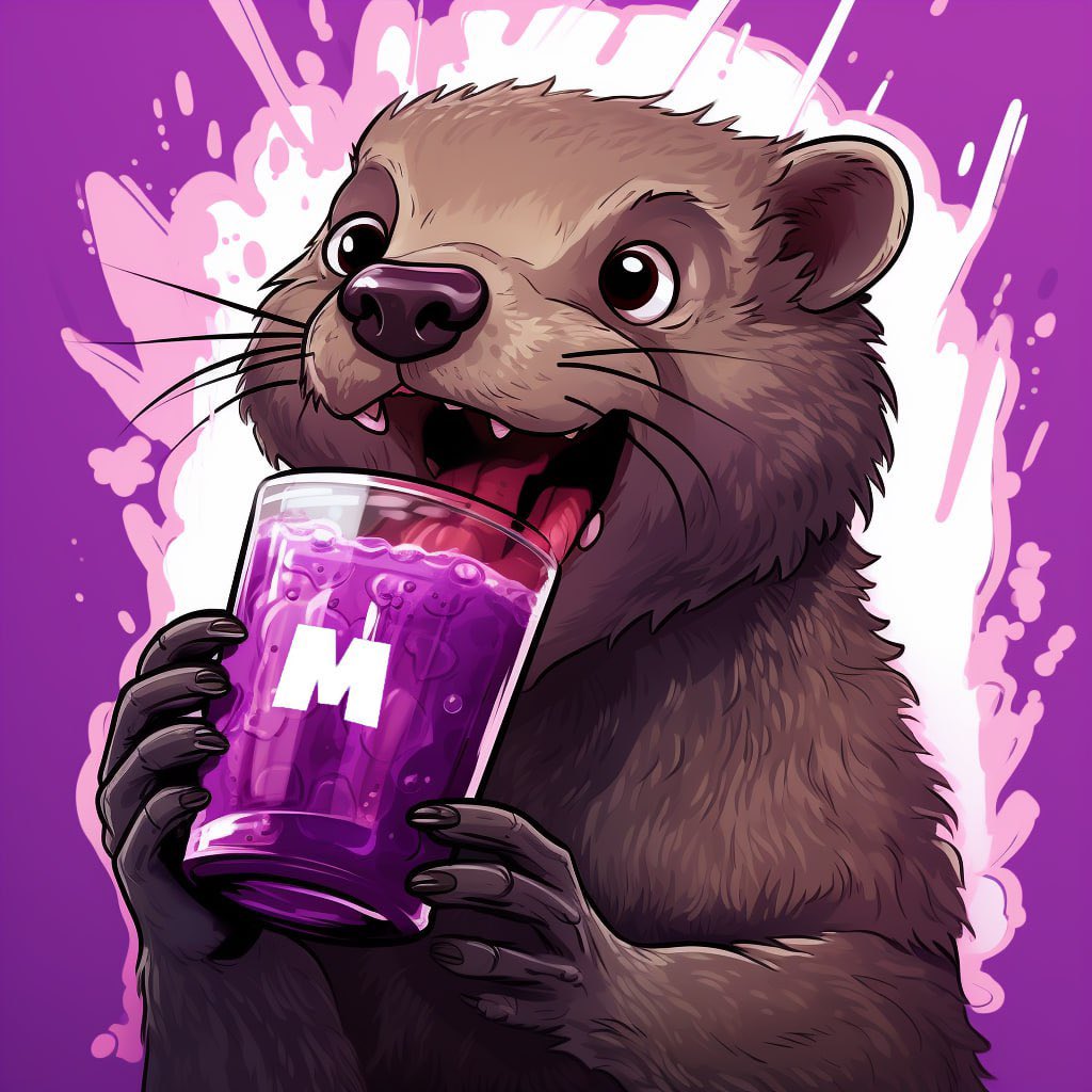 MONG COIN tweet media