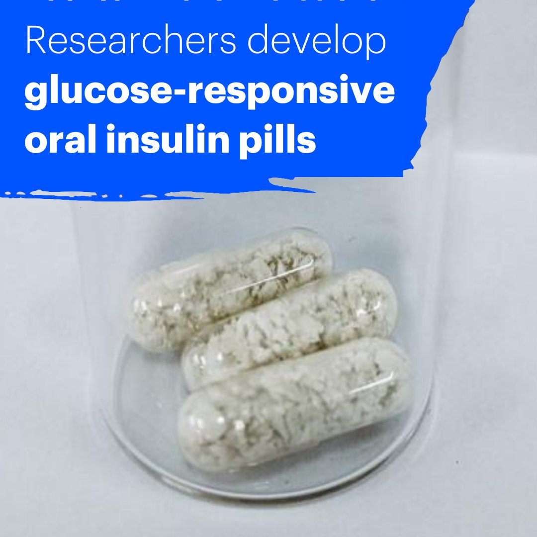 🚨 New #research! 🚨 Researchers have developed an oral #insulin that travels in an inactive state to the liver and is only activated by rising blood glucose levels. 💊 Learn more: jdrf.org.uk/news/early-res… @PeterMcMac @NicholasJHunt1 @jarryddaymond @DavidLeCouteur @syd_health