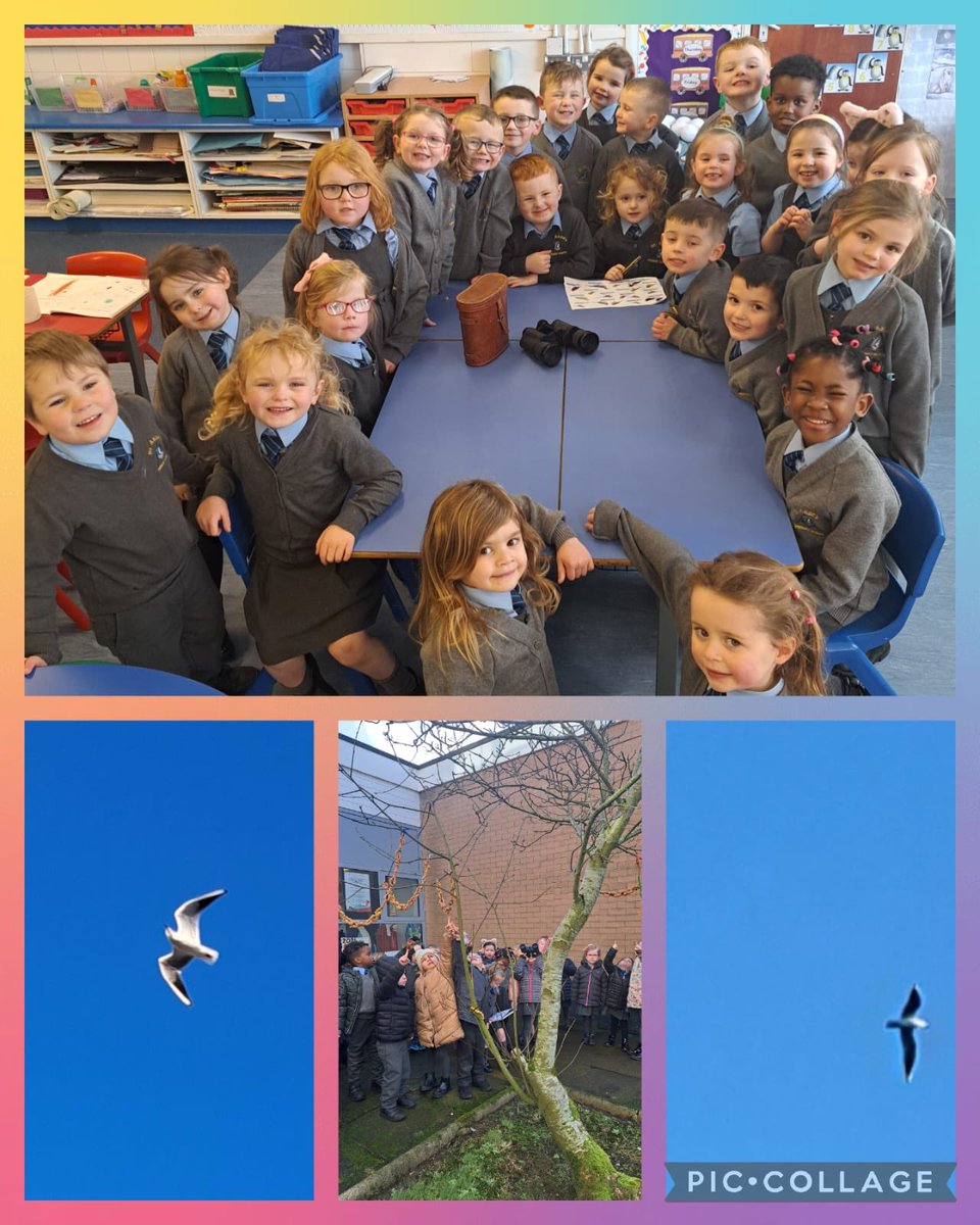 St Anne's Primary School Derry tweet media