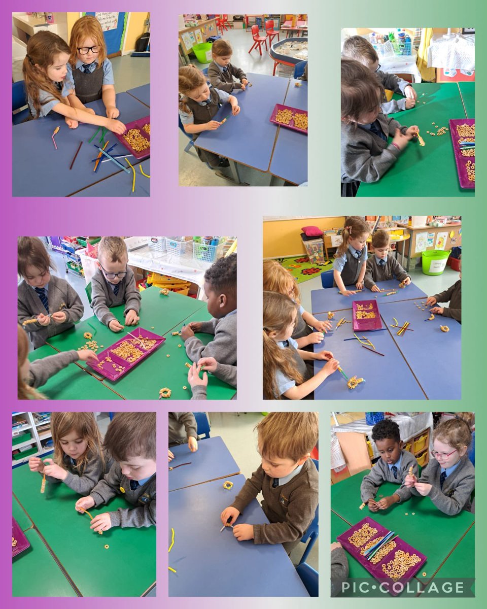 St Anne's Primary School Derry tweet media