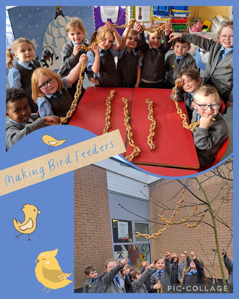 St Anne's Primary School Derry tweet media