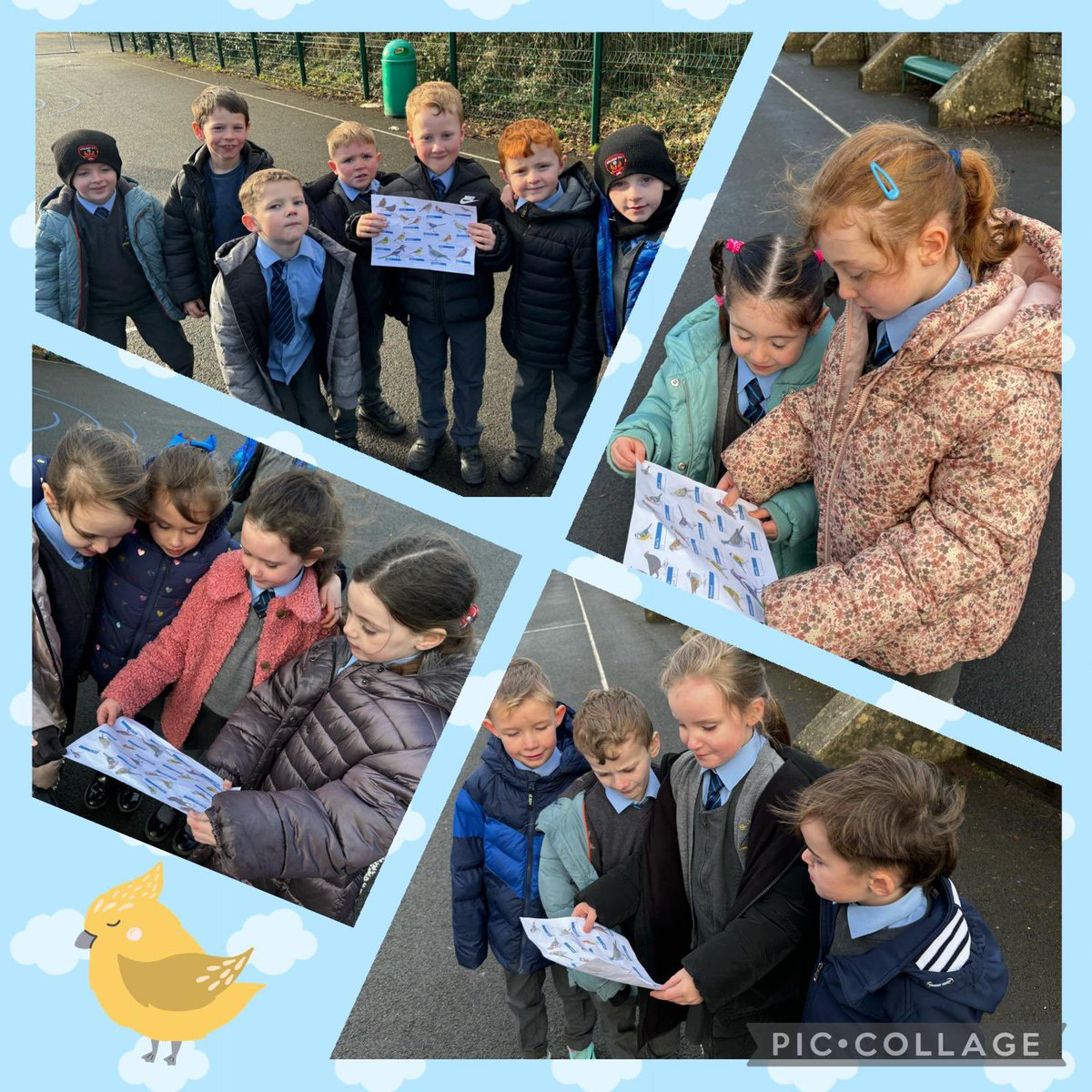 St Anne's Primary School Derry tweet media