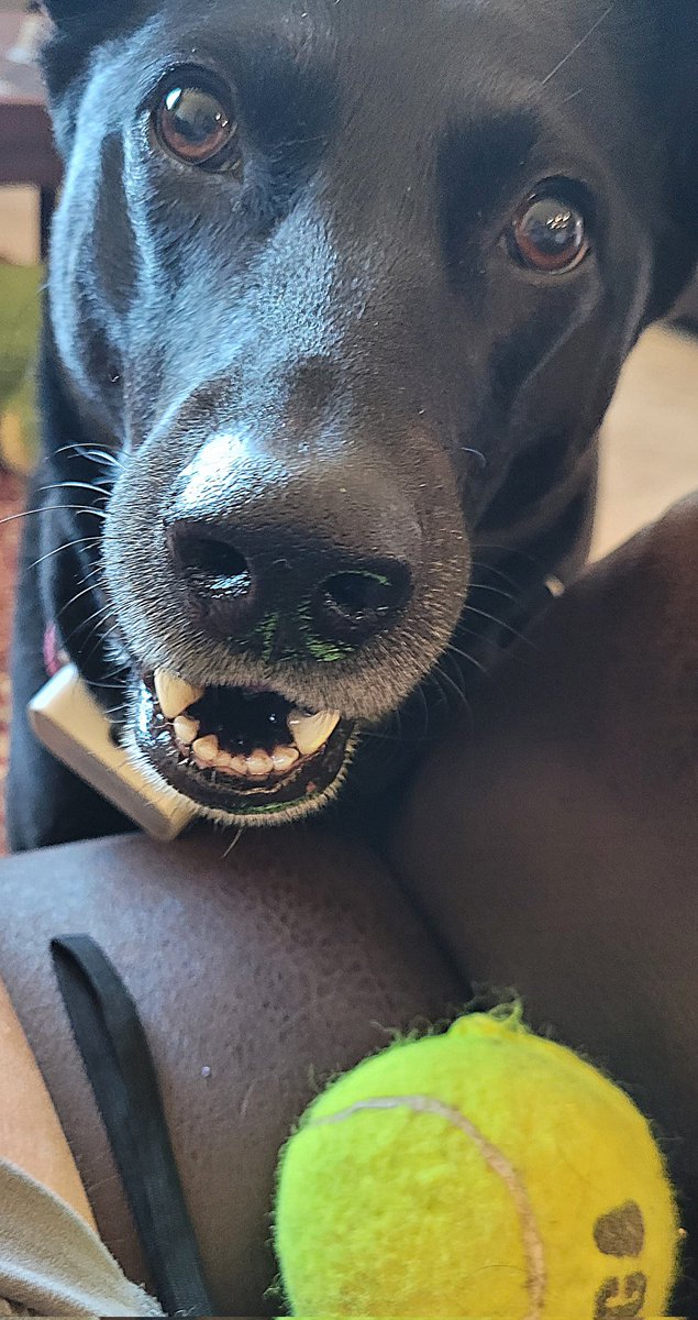 Wanna play ball?!