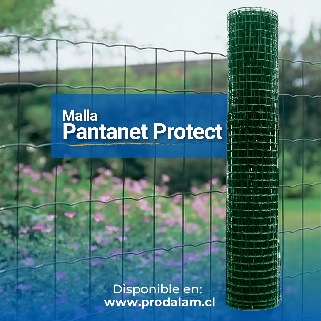 prodalam's tweet image. Para el cierre de jardines y espacios abiertos, la malla Pantanet es perfecta porque tiene gran resistencia a la corrosión gracias a su galvanizado.⁣
⁣
Compra en Prodalam.cl ⁣
​​​🇨🇱Estamos en todo Chile

#MallaPantanet #Mallas #Pantanet #cercos #Constructoras