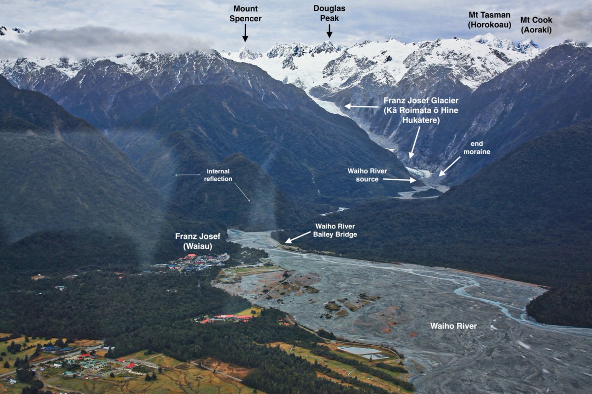 Henry Lee tweet media