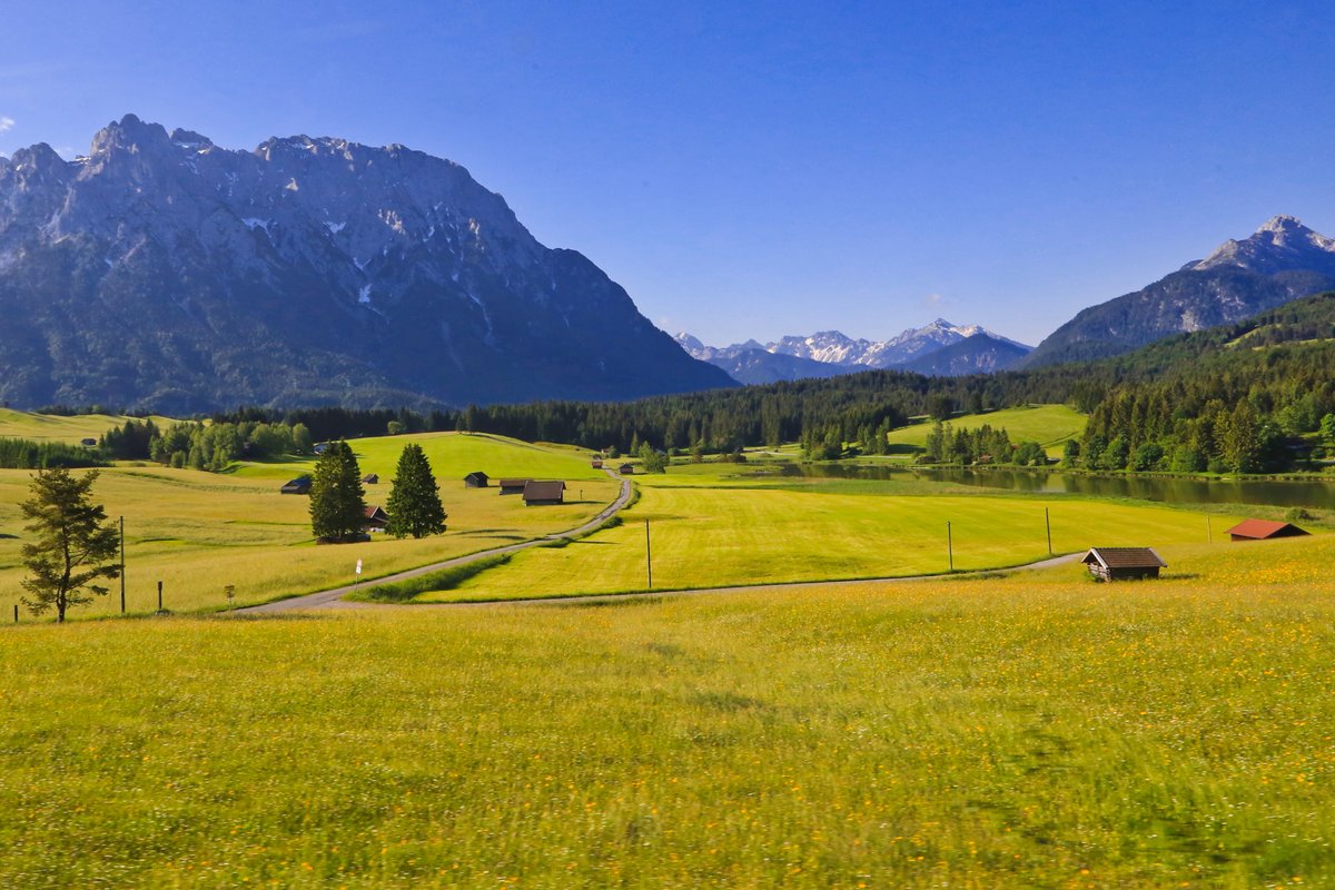 Henry Lee tweet media