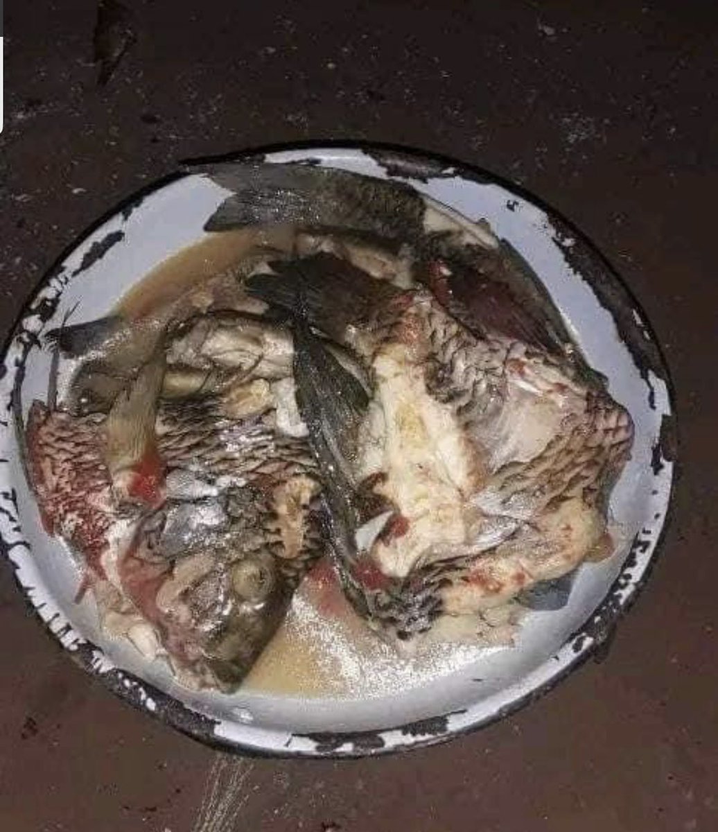 Octaviavee2's tweet photo. I blame you @tito_mboweni for this 😭😩#justiceforfish https://t.co/riXBet9q8o