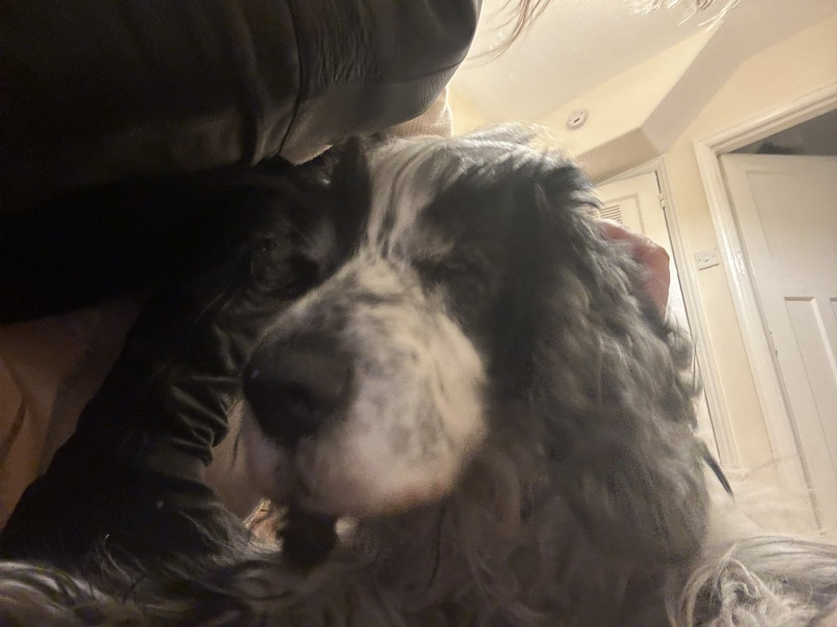 Jessica Williams, MBA tweet media