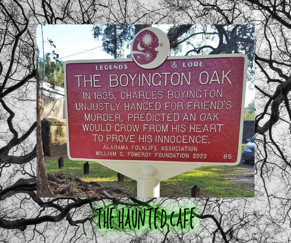 TheHauntedCafe's tweet photo. Episodes 40 and 41: the haunted Boyington oak tree in Mobile Alabama #haunted #hauntedlocation #truecrime #murder #spookypodcast #podcast #podcastandchill #horror https://t.co/YZHo9ldjrW