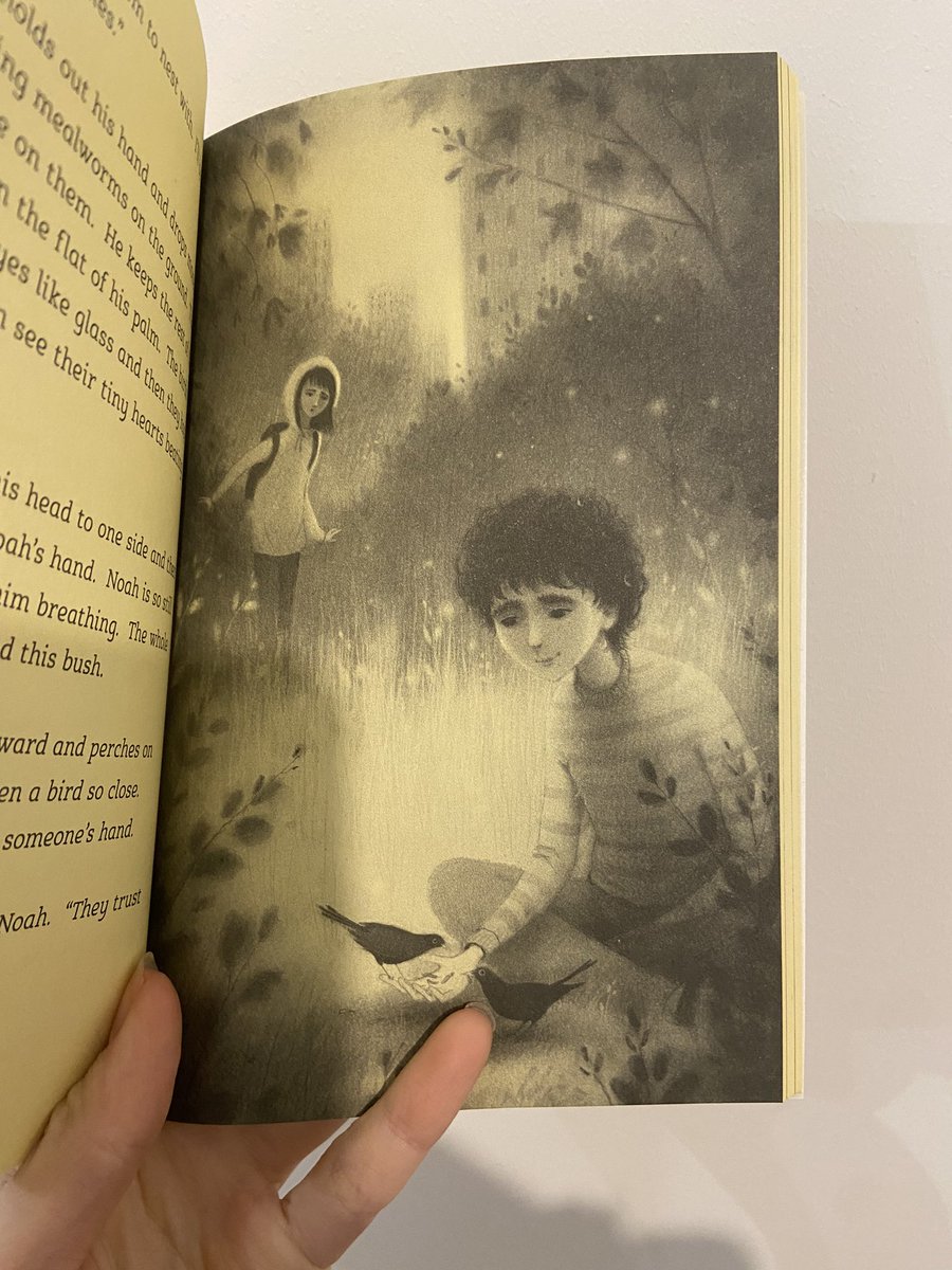 Such a heartfelt story! Beautiful plot. Beautiful illustrations! 🐦‍⬛🪈 @katyabalen #reading #readingforpleasure #readingrecommendation #teacherswhoread