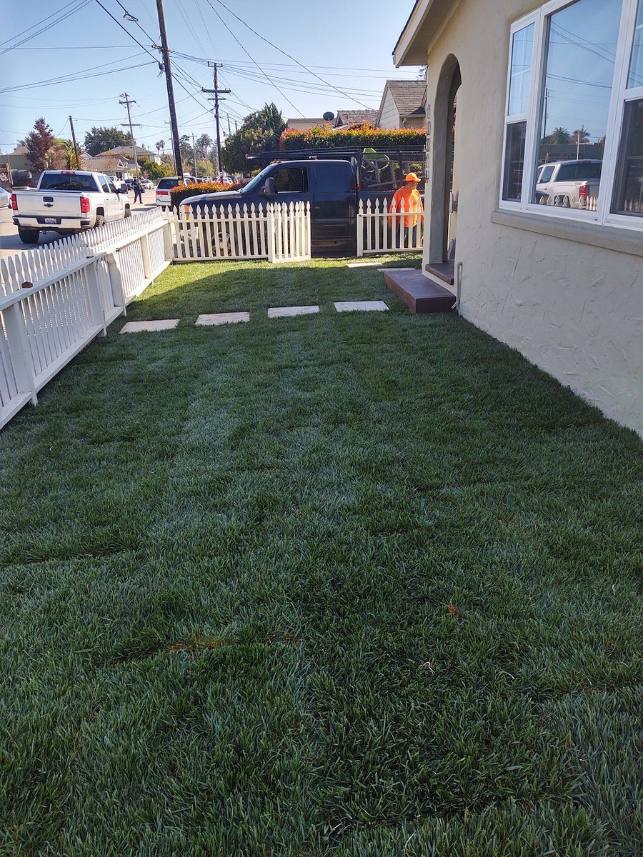 ColoresTree's tweet image. I take pride in nurturing and enhancing your green spaces, creating a vibrant and inviting atmosphere at your doorstep. Visit my website for more information about my yard services!

#YardServices #ColoresTreeService bit.ly/3MWFNbL