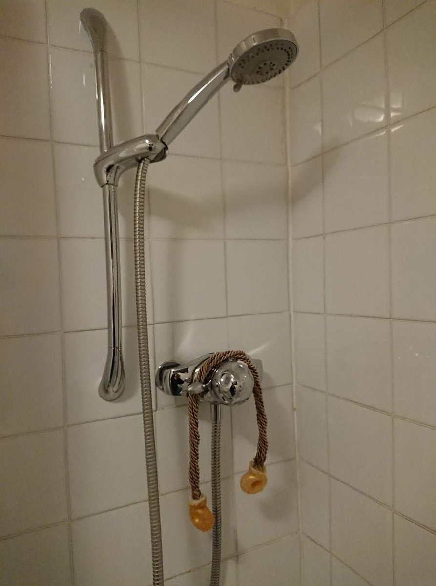 Tess_Machling's tweet image. Just found another photo of it...🤣🤣

#Archaeology #Torcs