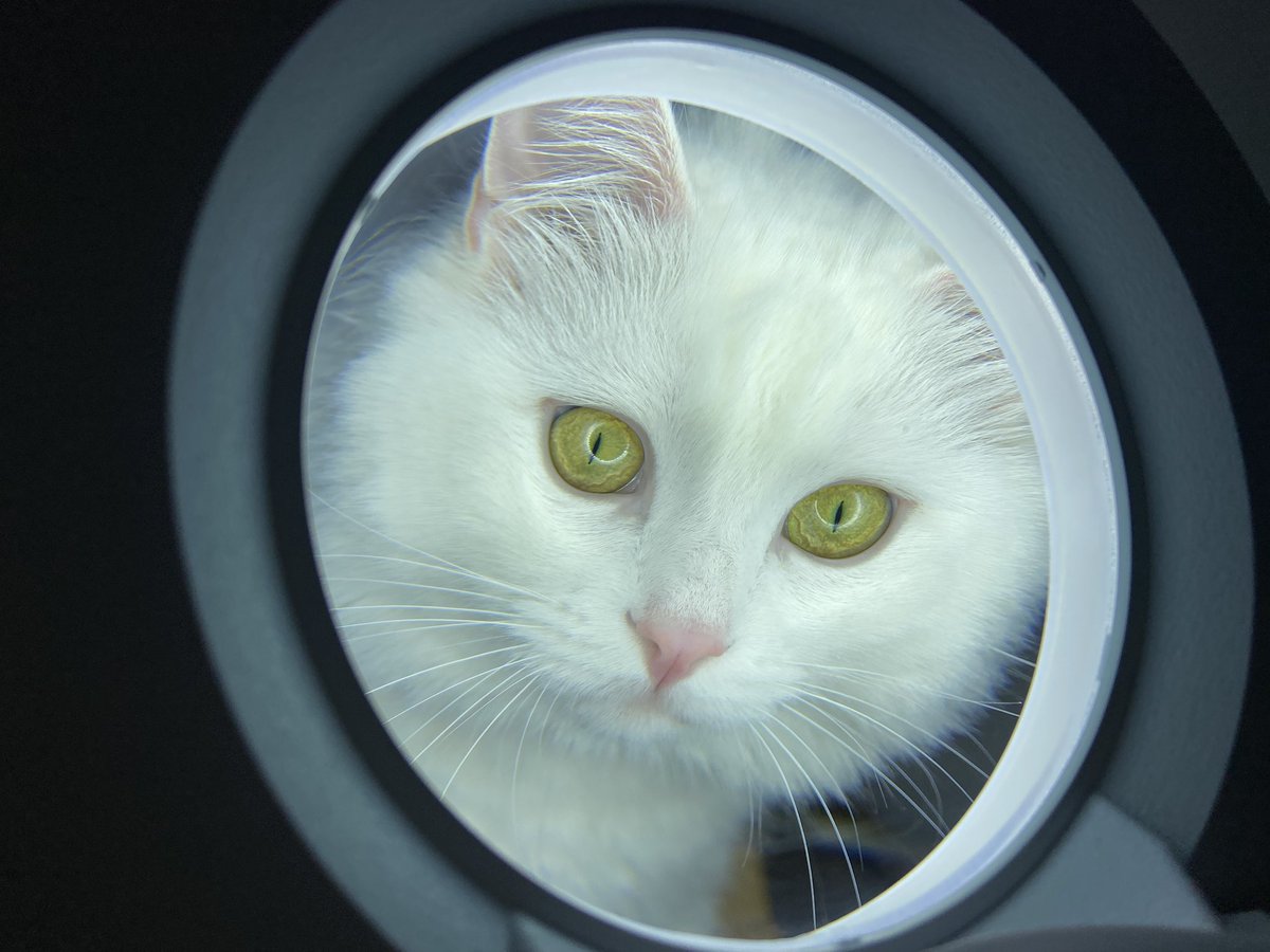 serdarkuvvet's tweet photo. ISS ‘den Dünyaya.. https://t.co/d6ge0nK4qj