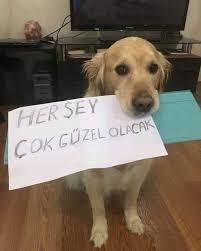 yedekisbora's tweet photo. @heranheryerdeee Ooooouuw laf sokmuş.
Çok düşündünmü bunu yazarken😂👏👏👏 https://t.co/4Cmi9wB5u9