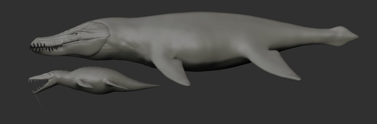 kaprodonychus's tweet photo. Since the animal was guessed correctly, there was no need hiding it anymore. Say hello to AUS mod’s Kronosaurus Abyssi! The model currently is still in early works but the overall model shape is 98% complete. Next is detailing! Sizing is accurate
#Arksurvivalascended #Arkmodding https://t.co/ICfwWNVhuu