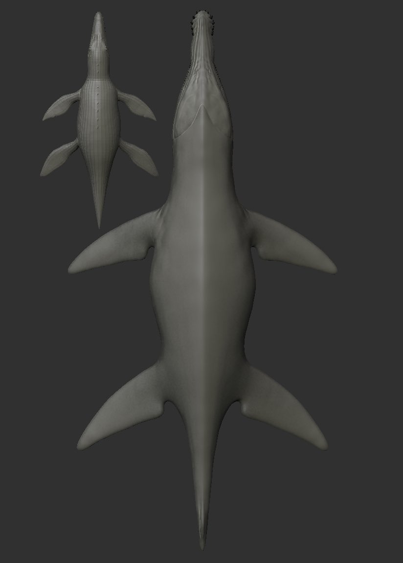 kaprodonychus's tweet photo. Since the animal was guessed correctly, there was no need hiding it anymore. Say hello to AUS mod’s Kronosaurus Abyssi! The model currently is still in early works but the overall model shape is 98% complete. Next is detailing! Sizing is accurate
#Arksurvivalascended #Arkmodding https://t.co/ICfwWNVhuu