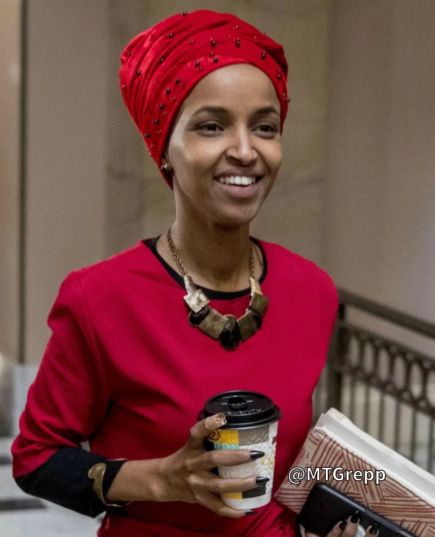 America is getting INVADED Do you think we should EXPEL and DEPORT Ilhan Omar ?