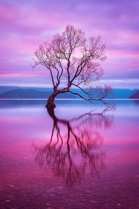 Baktığın Ben…
Gördüğün Sensin…