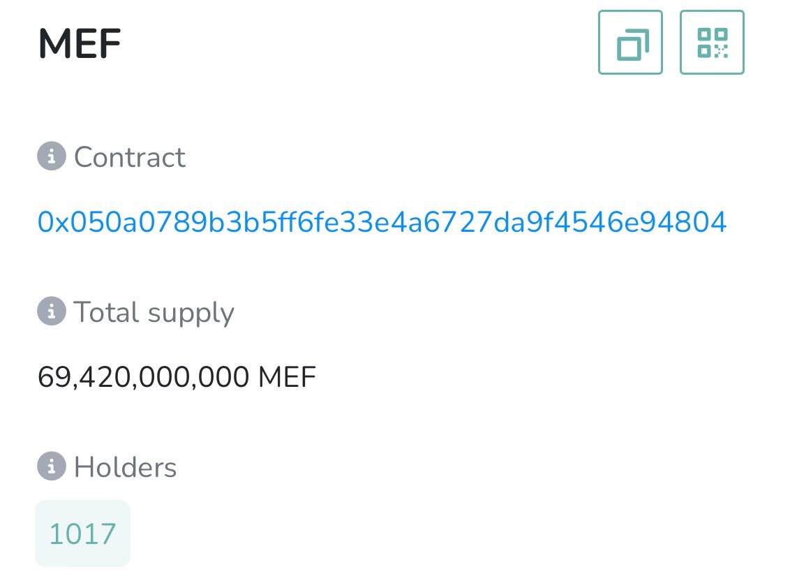 We crossed 1000 $MEF heads!

Congrats to everyone, back to building 🧪