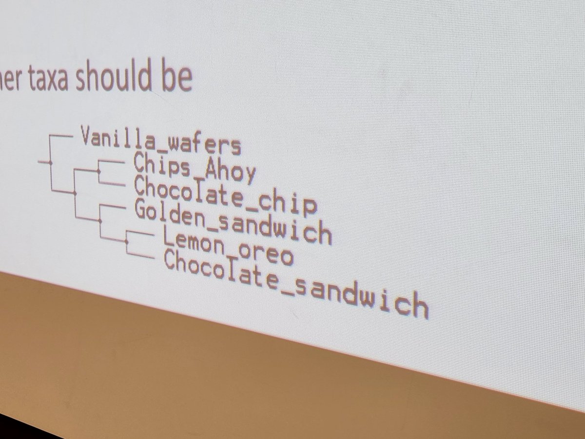 Once again, my undergraduate palaeontology class tackles the latest controversies in cookie phylogeny.