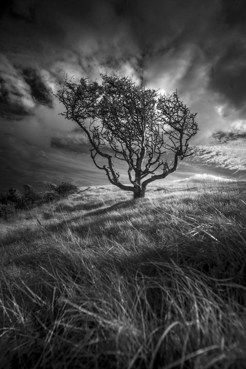 ‘Hillside’ From one of the highest points on the South Downs. #ThePhotoHour @OPOTY @ShimodaDesigns @Benro_UK @NikonEurope