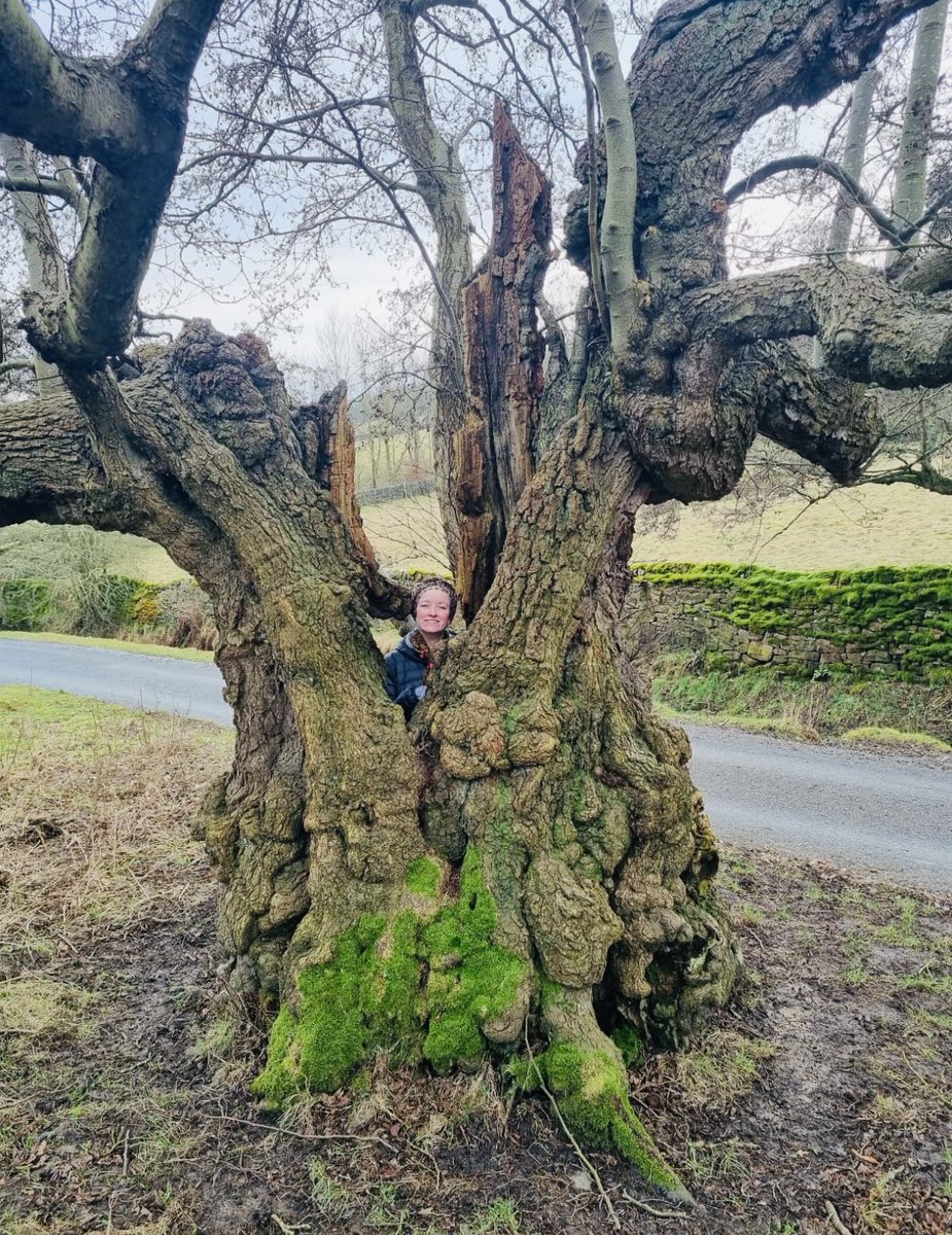 Happy #thicktrunktuesday peeps 🥰🌳just me and a tree int’ Shire again! #trees #nature #connect #Wellbeing #Derbyshire #peakdistrict #walking @keeper_of_books @gwtreelover @tansyleemoir @treesnick