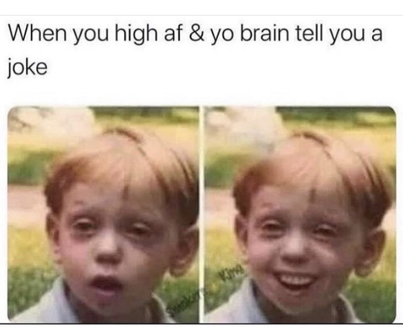 #smokememes #puffinsmokeshop