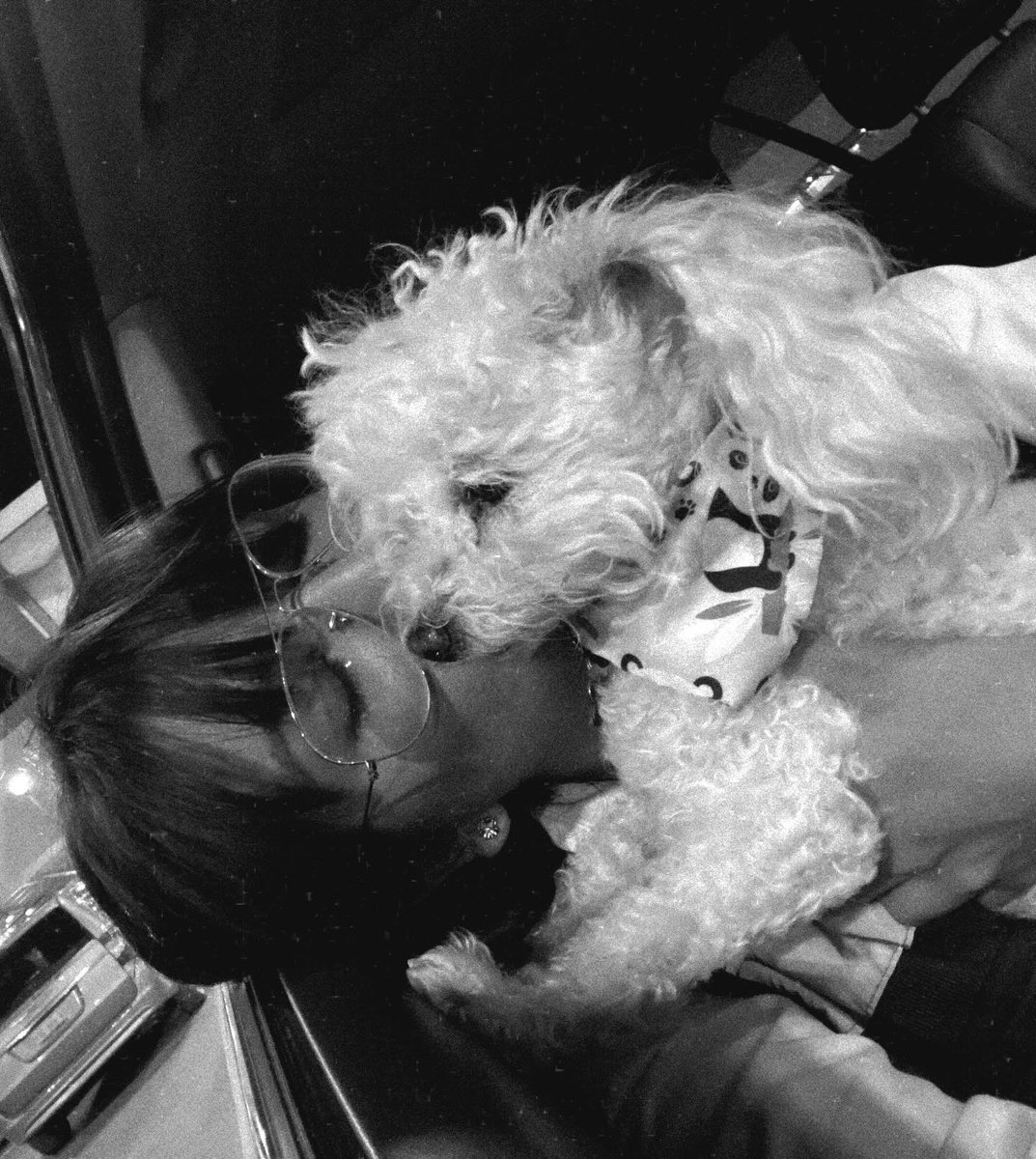glzamiranda's tweet photo. Mi mejor historia de amor por siempre, te amo mi Benito! Te extraño cada día. 🤍 https://t.co/mFHAckDWB9