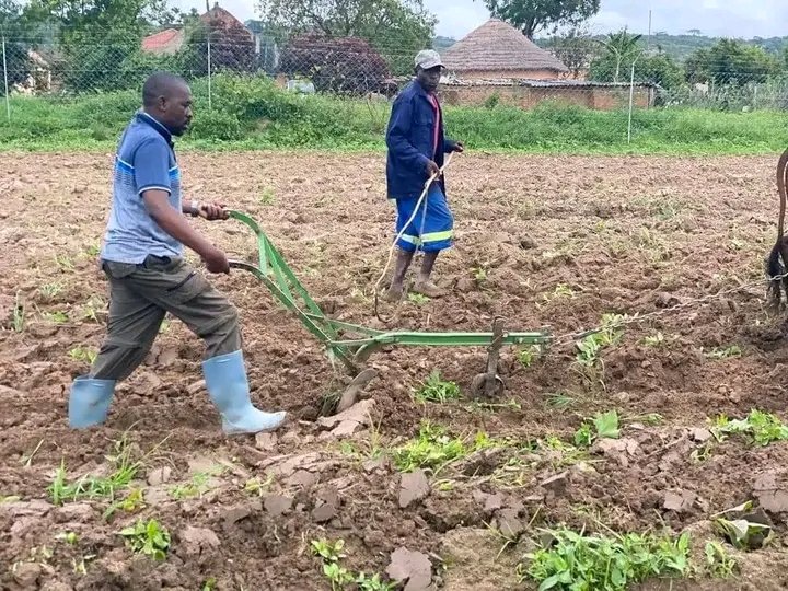 brown_gugu's tweet photo. First project raApostle Chamisa after deserting his CCC party. @CCCHarare @drjaytee87 @NewsDayZimbabwe https://t.co/WXAum2Edzt