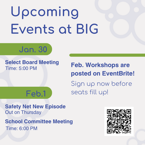 Brookline Interactive Group (BIG) tweet media