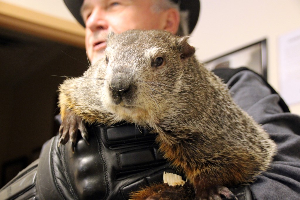 CJacksonCowart's tweet photo. This is my new magnum opus. No further questions at this time.

For @SBRReview, I dove into the 2024 Groundhog Day betting odds to predict whether the world's most famous groundhog, Punxsutawney Phil, will see his shadow on Friday ⬇️
https://t.co/wB78qiMWRY https://t.co/JhAPRGyMFQ