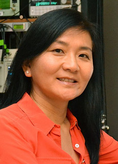 We are excited to share that the Carhart Memorial Lecture will be presented by Hideko Heidi Nakajima, MD, PhD on February 15 from 5:00-6:15pm at our annual meeting. The talk is titled, 'The Ear: In Search of Solutions for Engineers and Clinicians.'