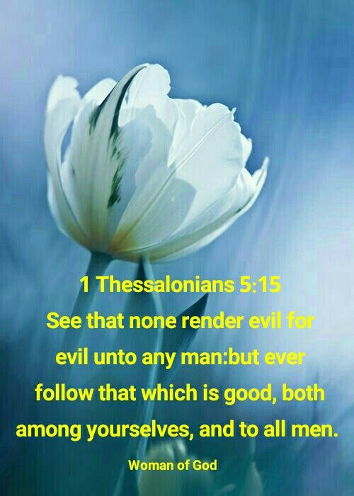 EllahieCooking's tweet photo. @johns20014 @asatheesh82 @MarkBird17 @EkMathai @Emmanue37844681 @GodsWordIsFree @hickoryhill8520 @IIIDeaton @RitaMcDougald6 @debrahillier 1 Thessalonians 5:15 #Reminder 
Make sure that no one pays back evil for evil.
Instead, always pursue what is good for each other and for everyone else. https://t.co/qkvuiP1amm