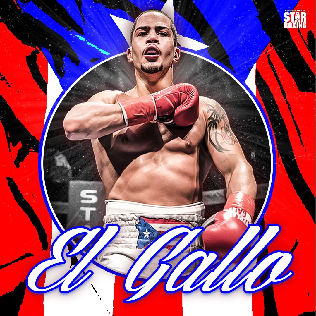 StarBoxing's tweet photo. #WARGALLO back in action February 23 🐔🔥 @Elgallodanny 

#RockinFights 46 | @TheParamountNY | 🎟️ https://t.co/uXhu7DXlBs https://t.co/B5enqZUDg8