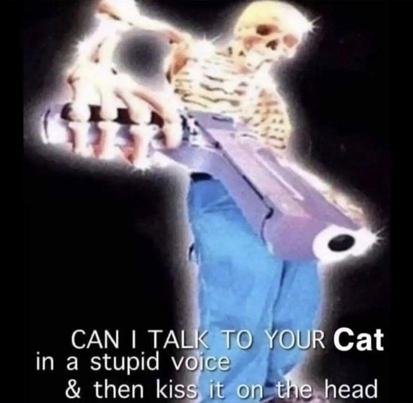 CATBRAINCELL's tweet photo. https://t.co/HyazfSsnCw